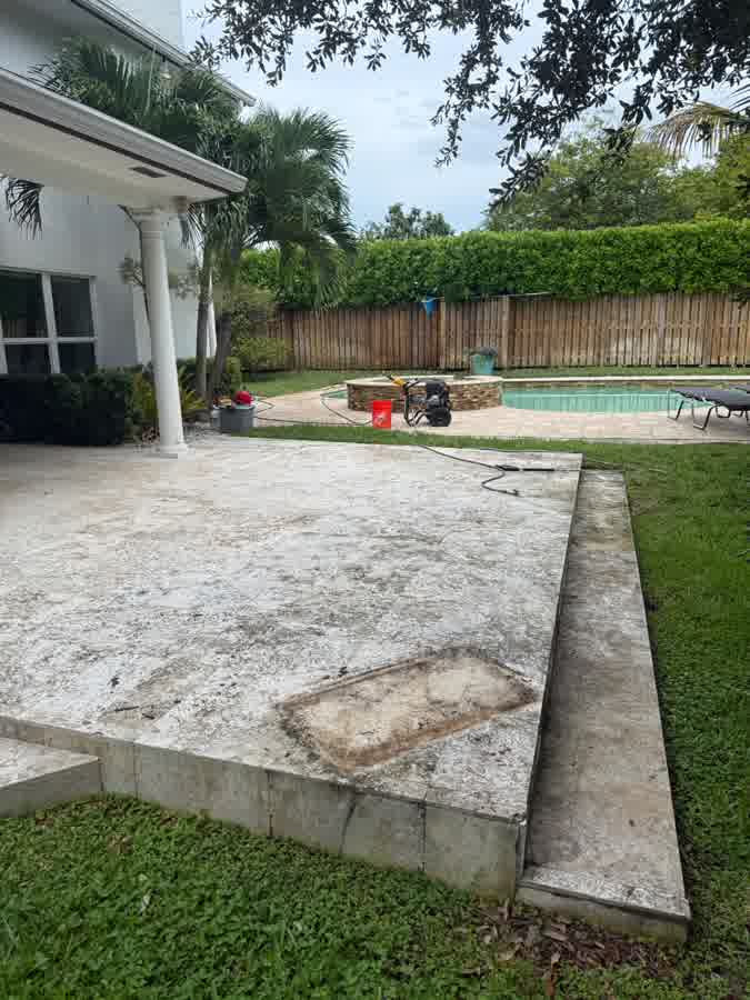 Pool patio and steps — black algae and the outline of a mat washed off the stone. before