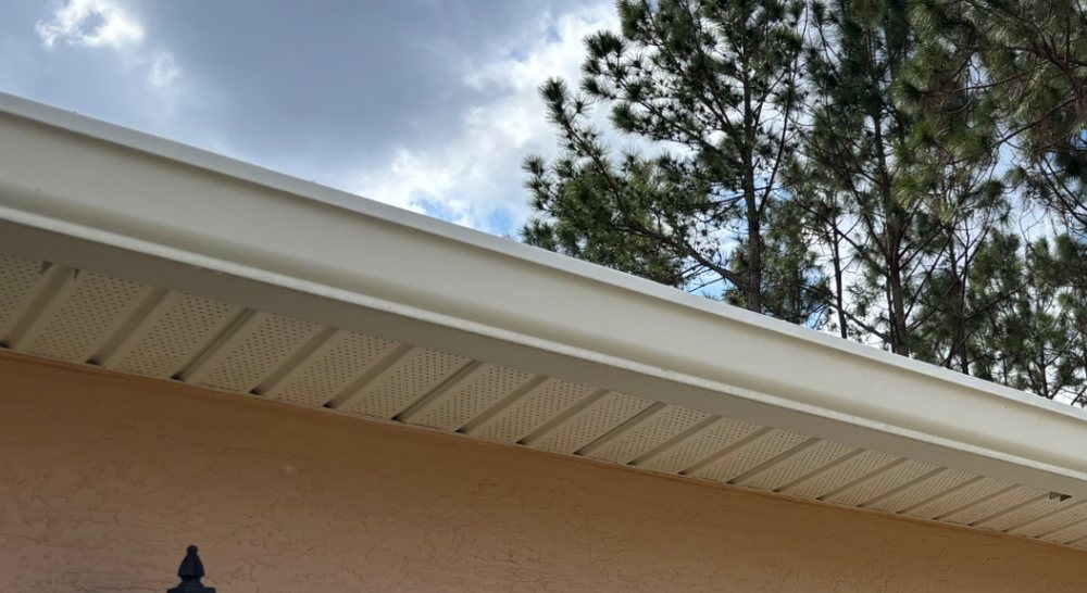 Gutter and soffit — grime and mildew washed off the gutter face and vented soffit. after
