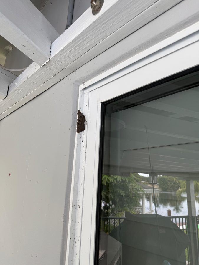 Frame and trim — mud dauber nest and webbing cleared from the jamb beside the glass. before