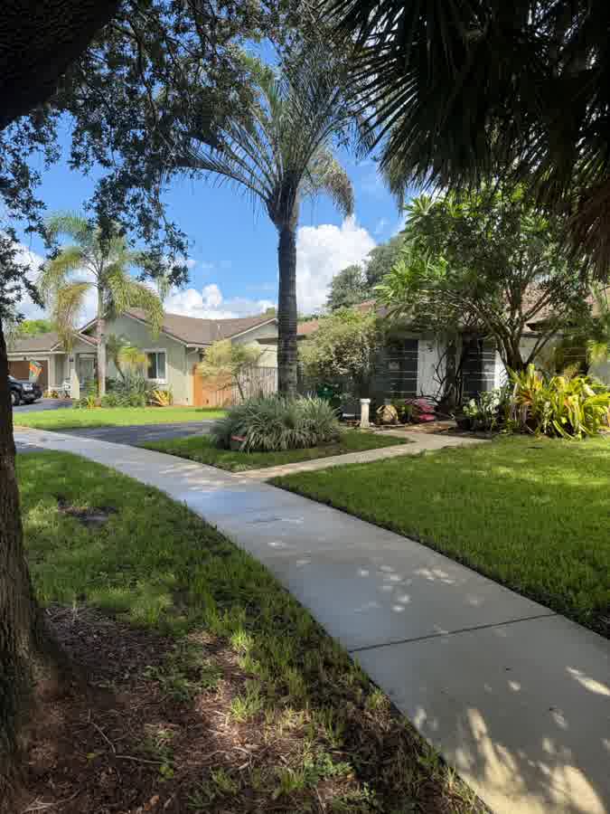 Front walk and sidewalk — algae and dark staining washed off the concrete. after