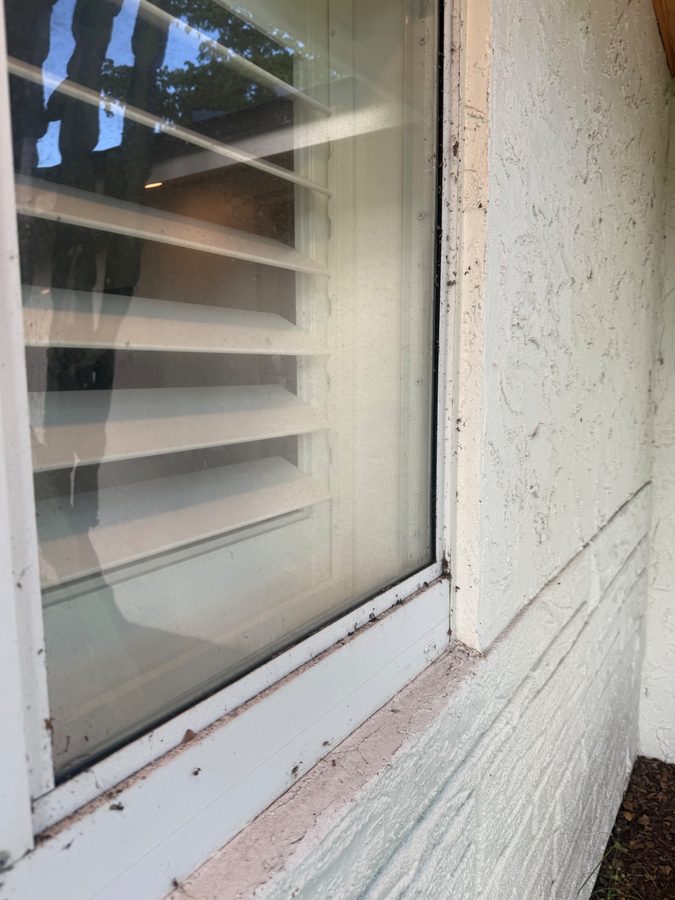 Frame detail — dirt, cobwebs, and debris washed from the joints, seals, and ledge. before